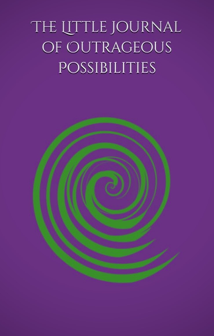 The Little Journal of Outrageous Possibilities — a guided journal for bold, brave, and audacious daily actions